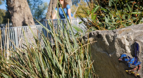 footer_image