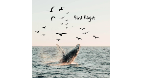 footer_image