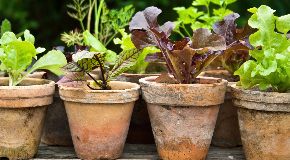 footer_image