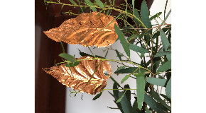 footer_image