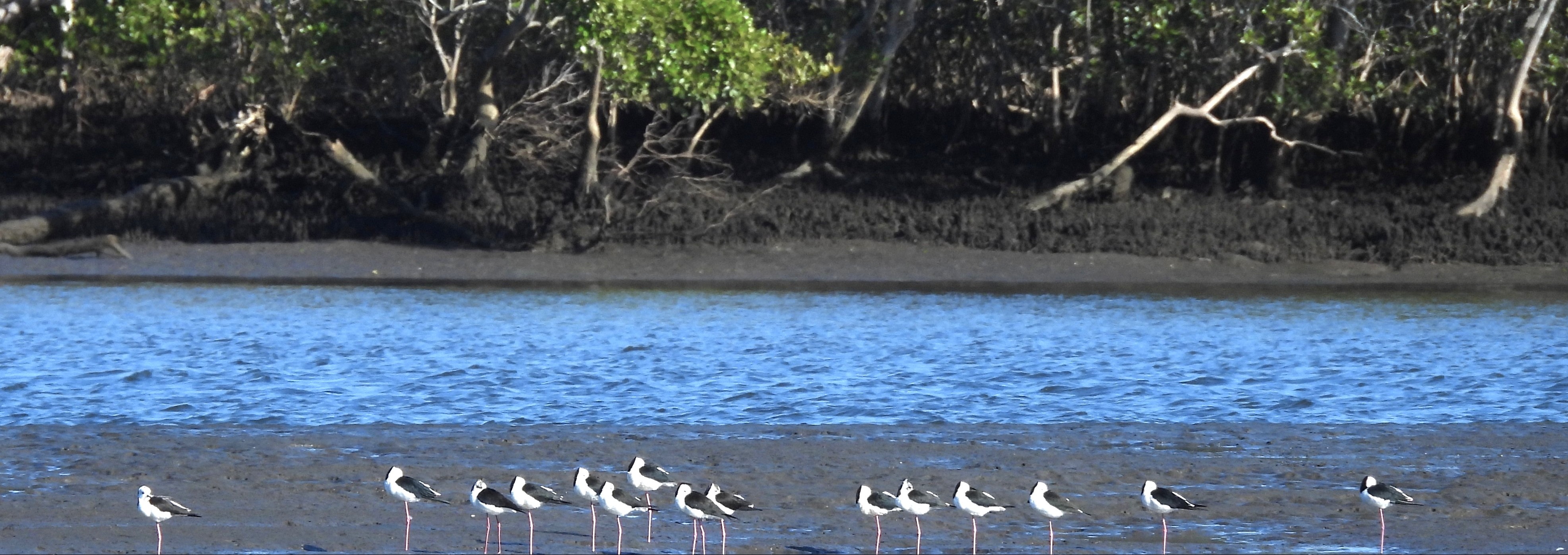 hero