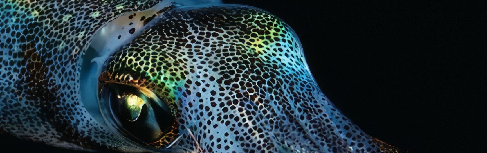 hero
