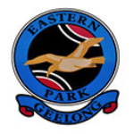 host icon