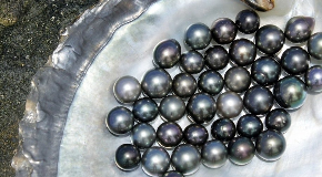 footer_image
