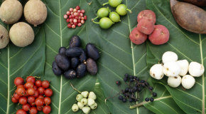 footer_image
