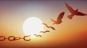 footer_image