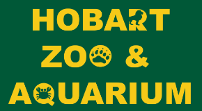 footer_image