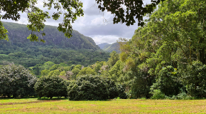 footer_image