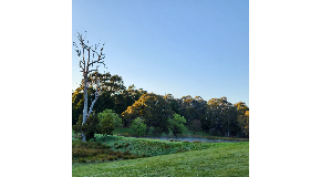 footer_image