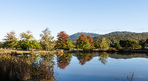 footer_image