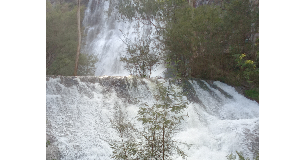footer_image