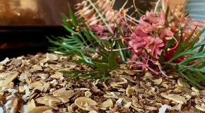 footer_image