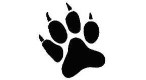 footer_image