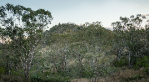 footer_image