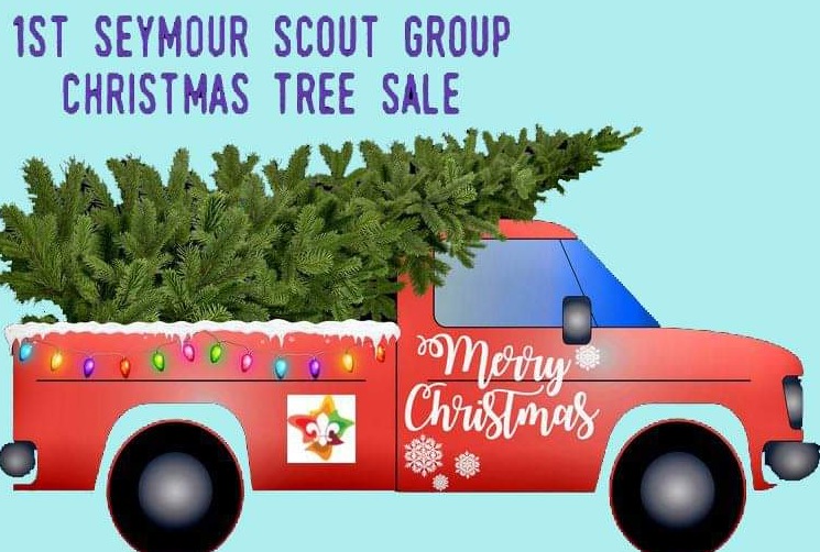 1st Seymour Scouts Christmas Trees 2021_Pick Up 4 December Tickets, 1st
