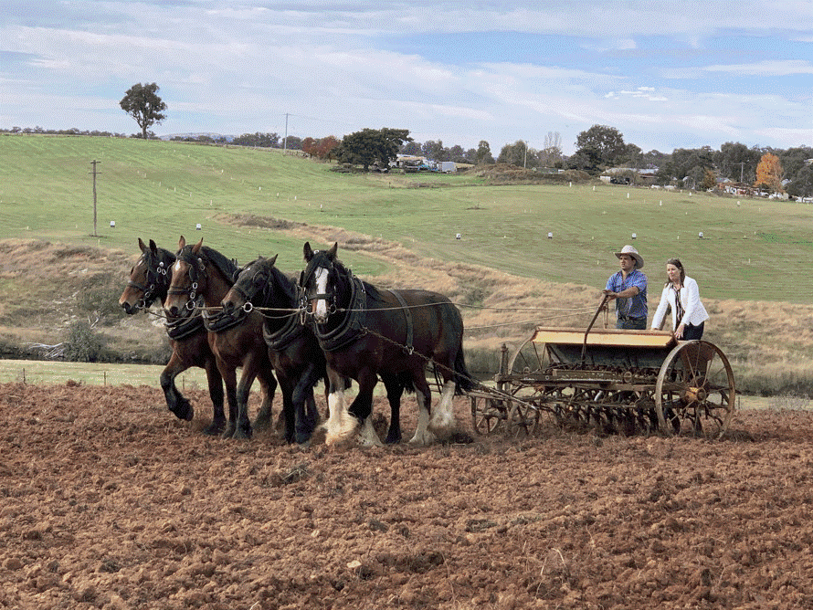 NATM Event Pass 2022/23 Tickets, National Agricultural Technology Museum, Yass | TryBooking Australia NATM Event Pass 2022/23 Tickets, National Agricultural Technology Museum, Yass | TryBooking Australia