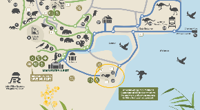 footer_image