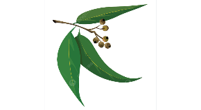 footer_image