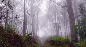 footer_image