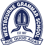 host icon