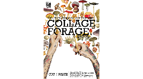 footer_image