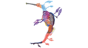 footer_image