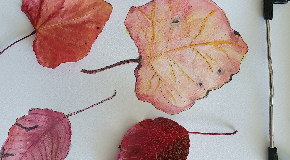 footer_image