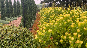 footer_image
