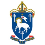 host icon