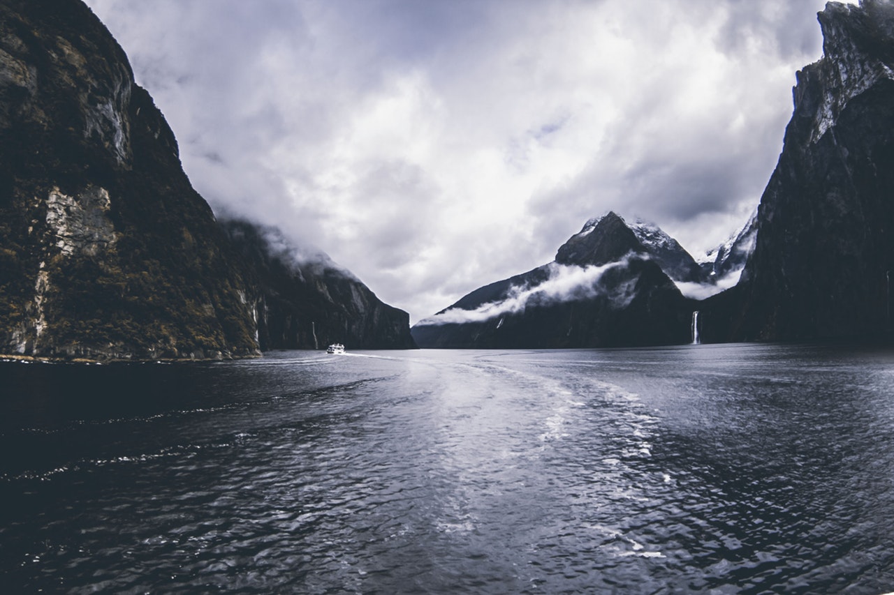 All there is to know about our expansion in New Zealand