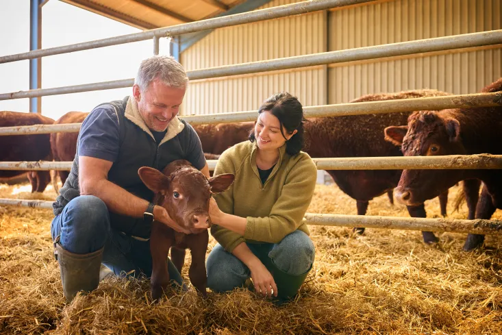 Farm diversification ideas: 12 ways to create new revenue from your land