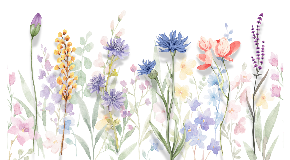 footer_image