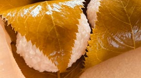 footer_image
