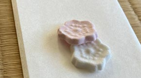 footer_image