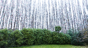 footer_image