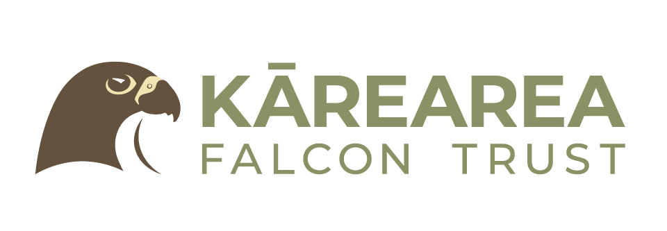 Kārearea Falcon Trust