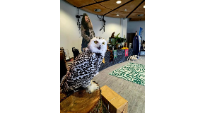footer_image