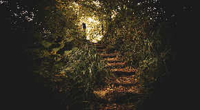 footer_image