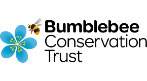 footer_image