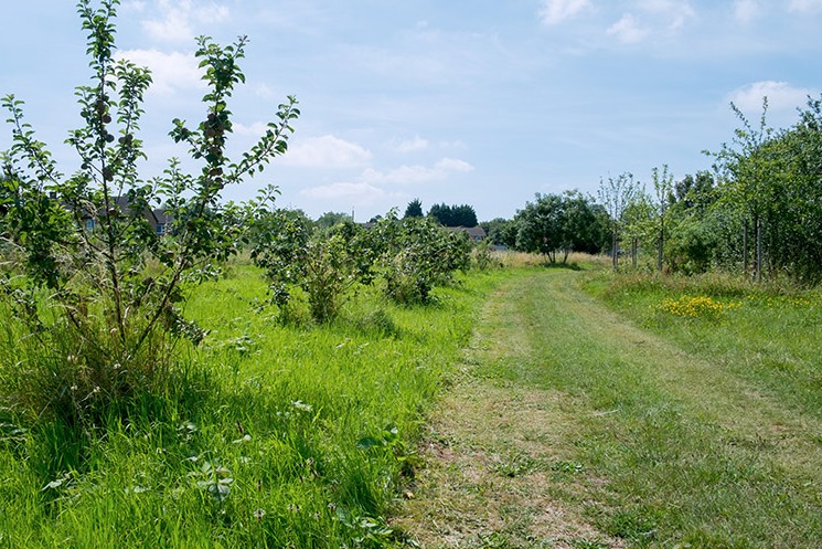 Thumbnail Image