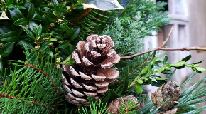 footer_image