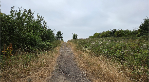 footer_image