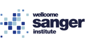 footer_image