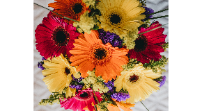 footer_image