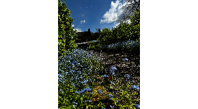 footer_image