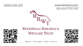 footer_image