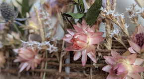 footer_image