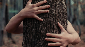 footer_image