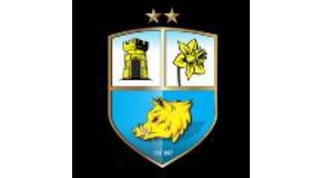 footer_image