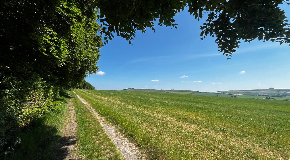 footer_image